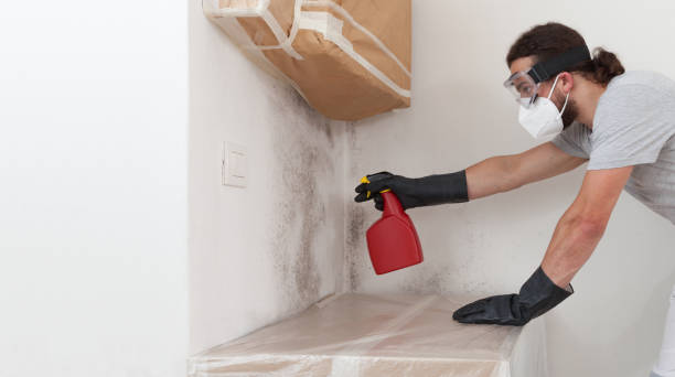 Professional Attic Mold Removal technician working in Morristown, NJ