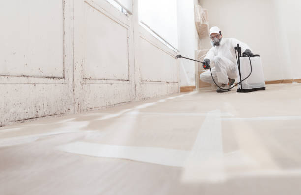 24/7 Emergency Attic Mold Removal experts in Morristown, NJ