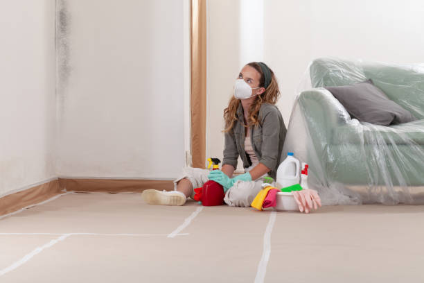 Reliable Mold Remediation contractor in Morristown, NJ by Cheap Mold Removal